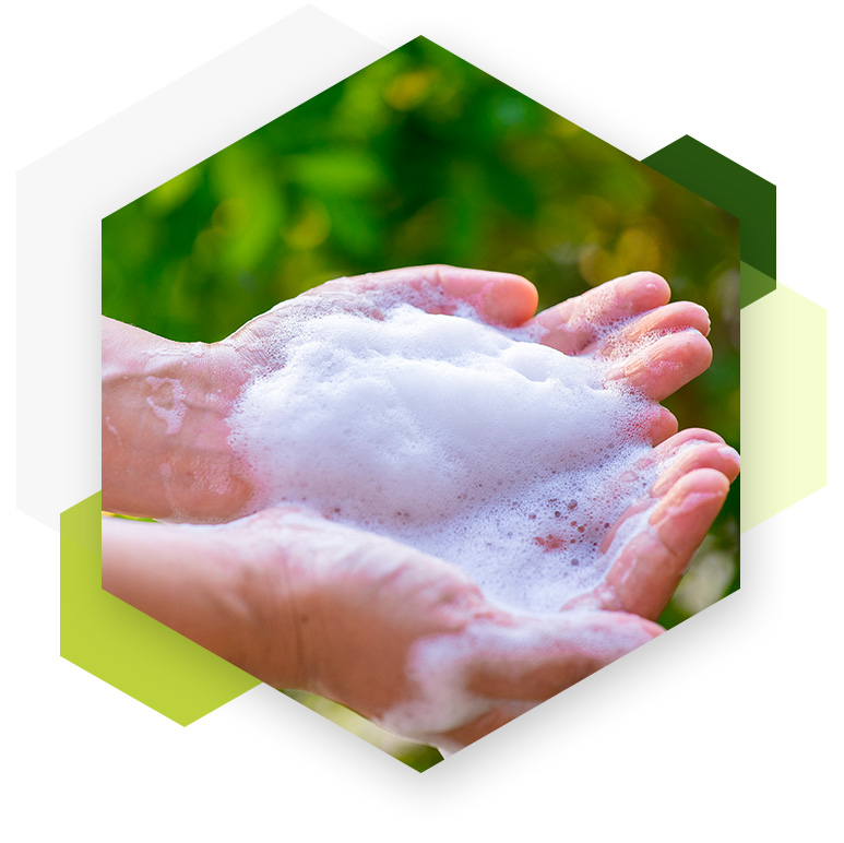 Anionic Surfactant