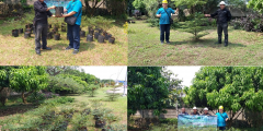 Tree Planting Program